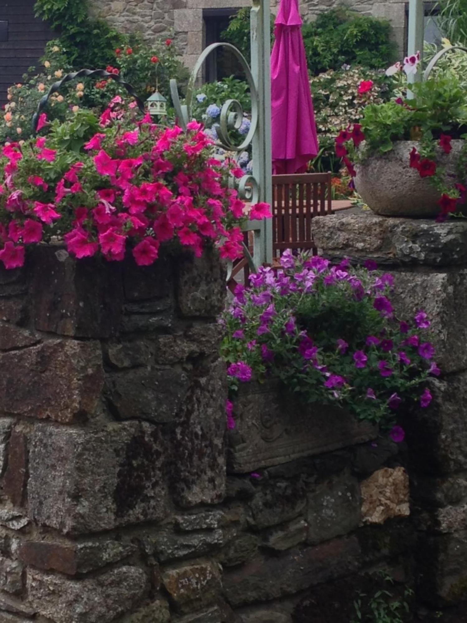Le Petit Chateau, Matisse Noyal-Pontivy Εξωτερικό φωτογραφία